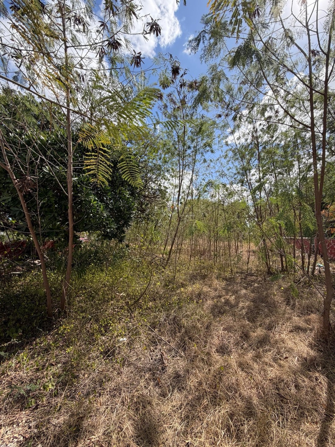 Land in Temozón Norte, Yucatan, Mexico 4 - 18035803