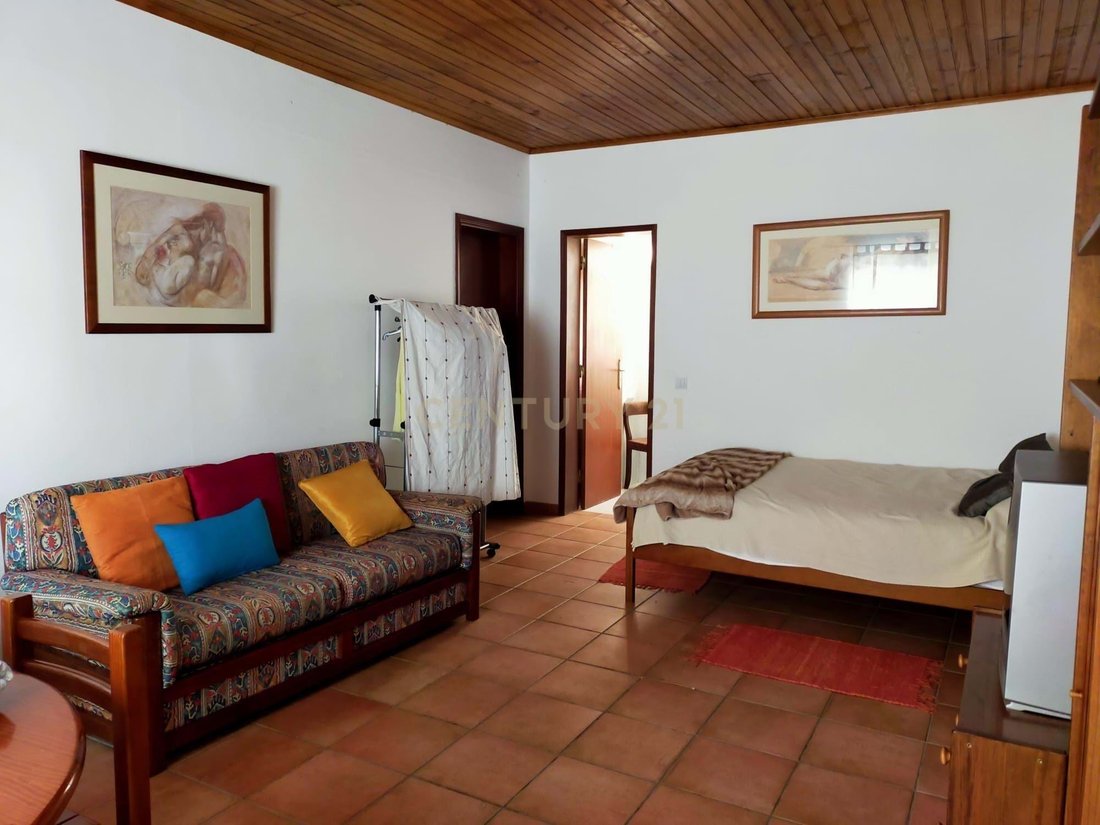 Farm Ranch in Melides, Setubal, Portugal 4 - 14624737