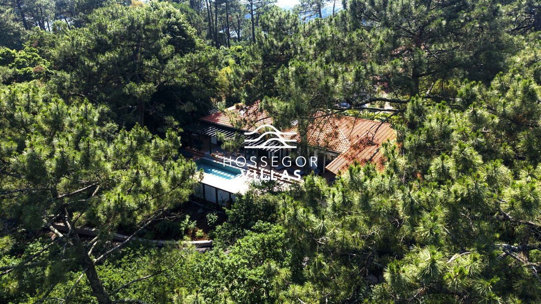 Villa in Soorts-Hossegor, Nouvelle-Aquitaine, France 3 - 18050089