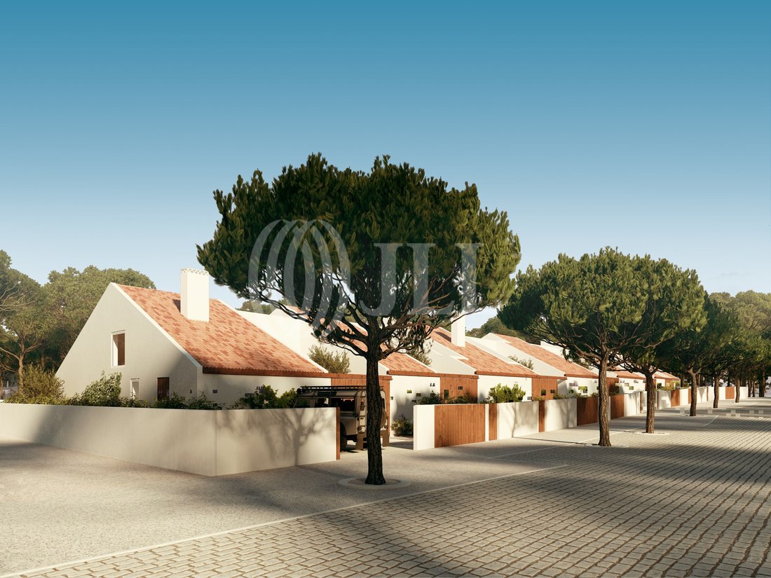 House in Grandola e Santa Margarida da Serra, Setubal, Portugal 3 - 18047485