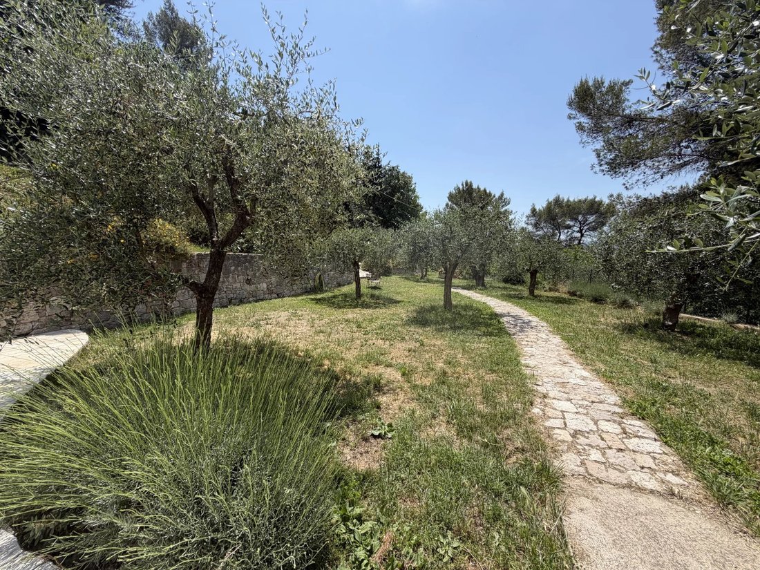 House in Peille, Provence-Alpes-Côte d'Azur, France 5 - 18038439