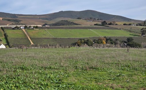 Land in Stellenbosch, Western Cape, South Africa 1