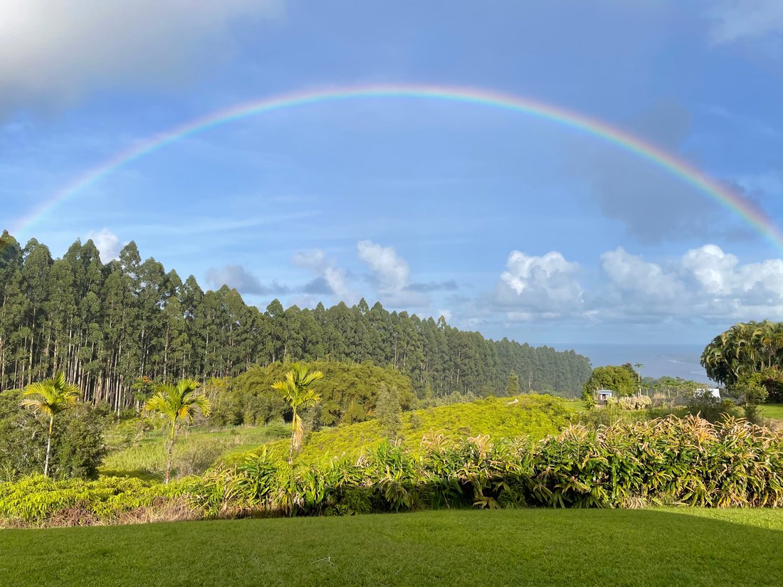 House in Hilo, Hawaii, United States 2 - 18040072