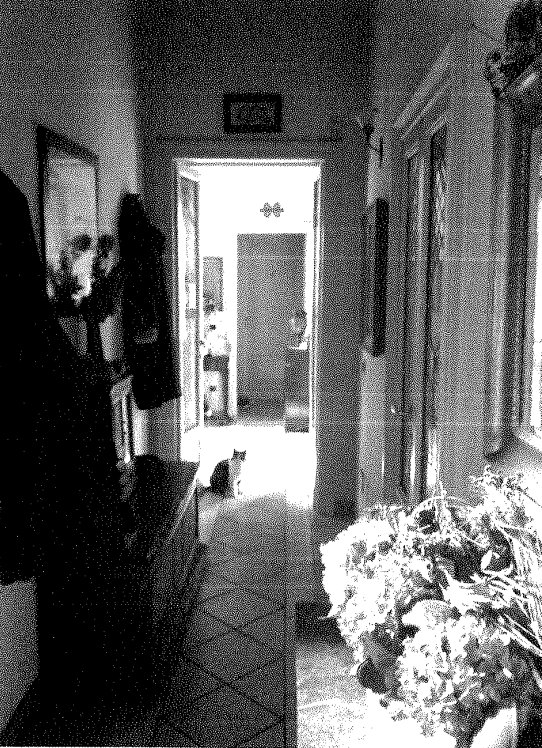 Villa in Bollate, Lombardy, Italy 5 - 18036252