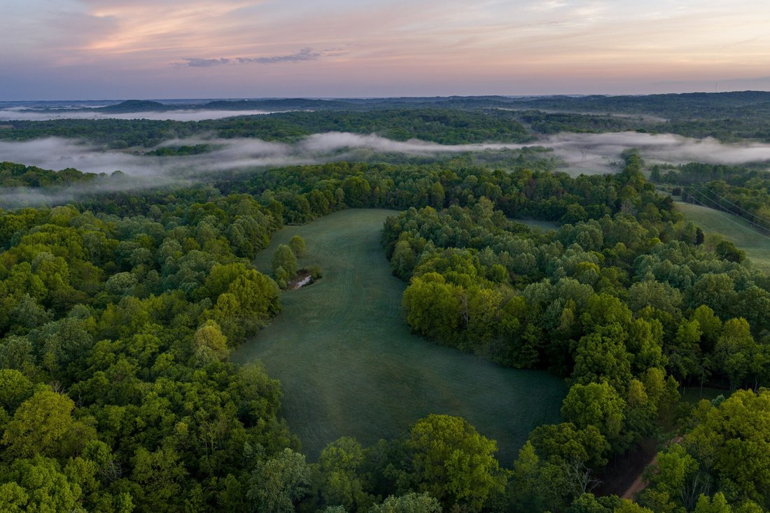 House in Columbia, Tennessee, United States 2 - 18036467