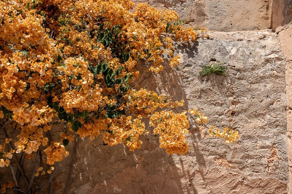 House in Campos, Balearic Islands, Spain 2 - 18038638