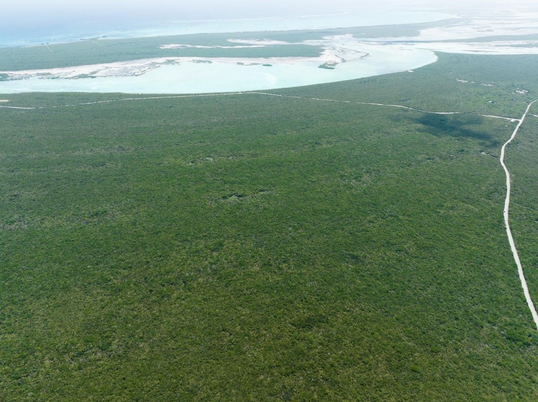 Land in Lorimers, Caicos Islands, Turks and Caicos Islands 1 - 18048822