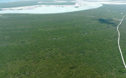 Land in Lorimers, Caicos Islands, Turks- und Caicosinseln 1
