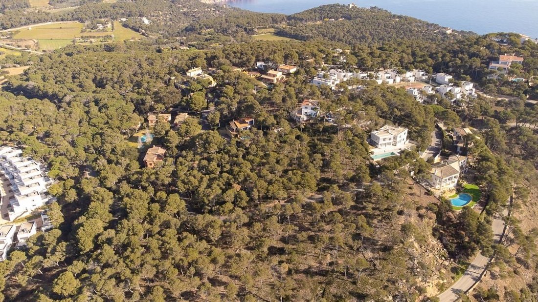 Llafranc, Palafrugell, Catalonia 1 - 18047003