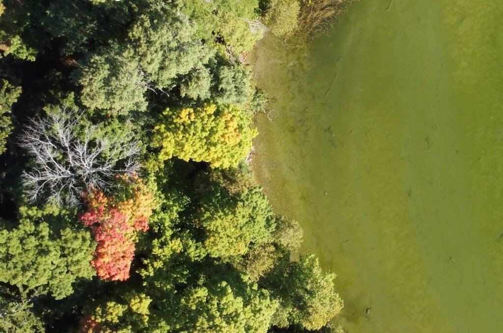 Land in Baileys Harbor, Wisconsin, United States 5 - 18049320