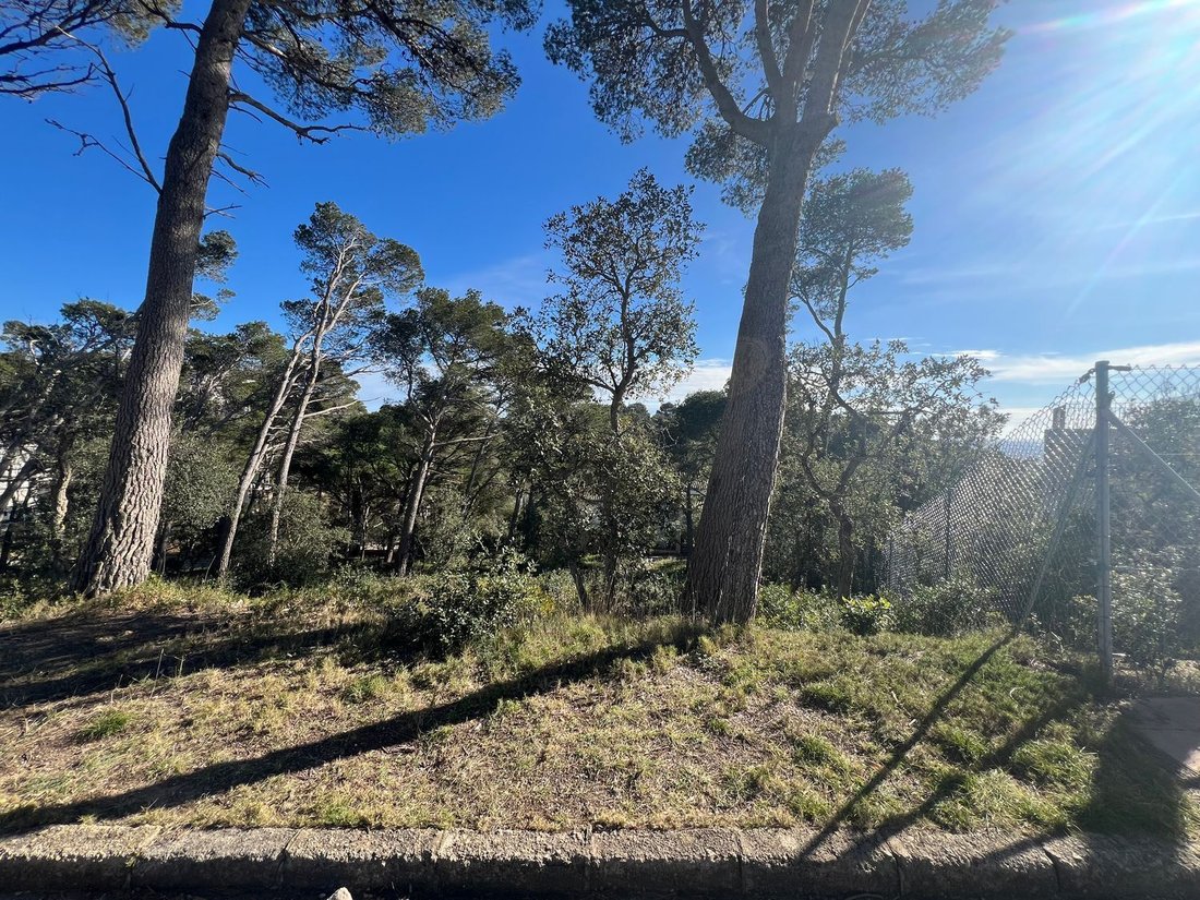 Llafranc, Palafrugell, Catalonia 4 - 18047003