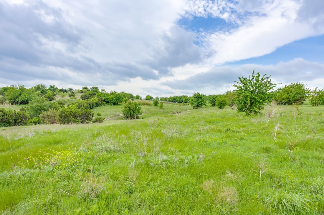 Farm Ranch in Weatherford, Texas, United States 4 - 18038774