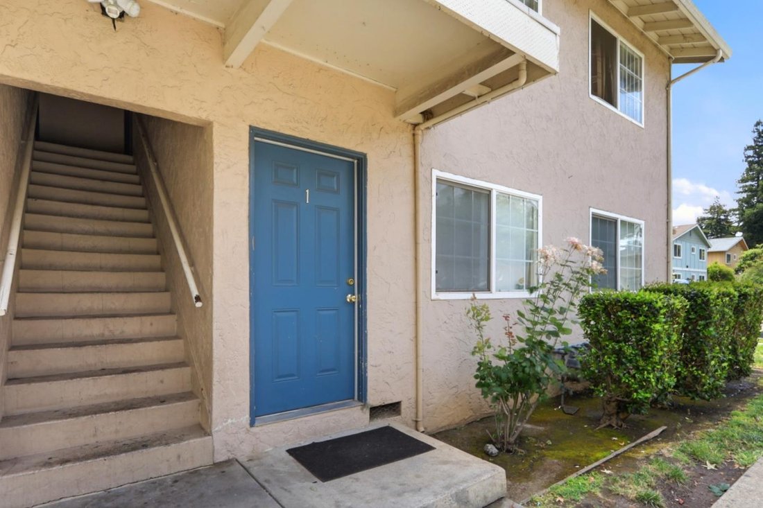 San Jose, California, United States 3 - 18041511