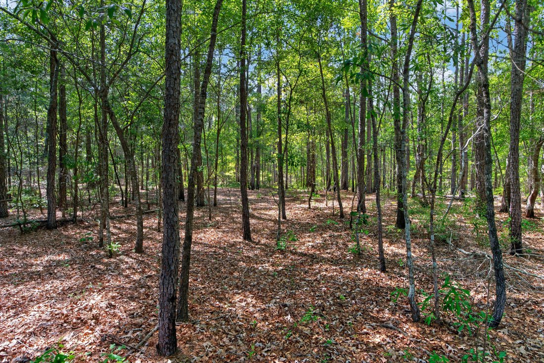 Land in Foreston, South Carolina, United States 4 - 18045415