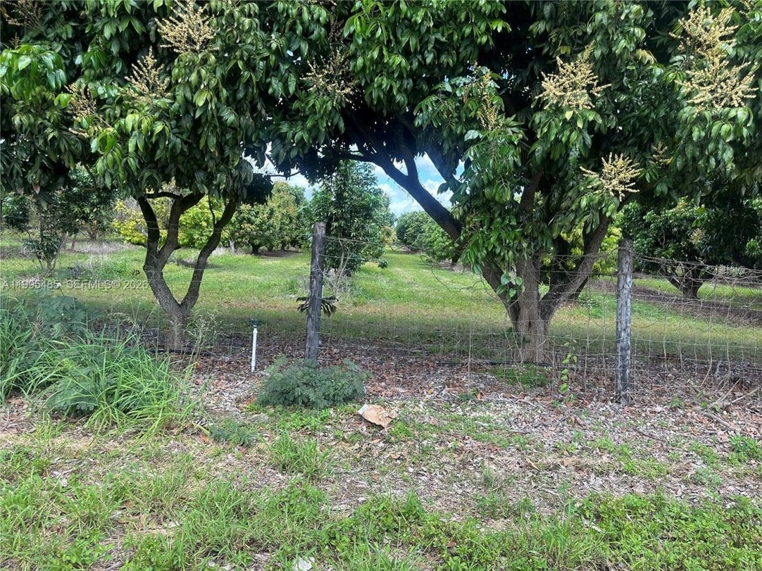 Land in Homestead, Florida, United States 5 - 17805740