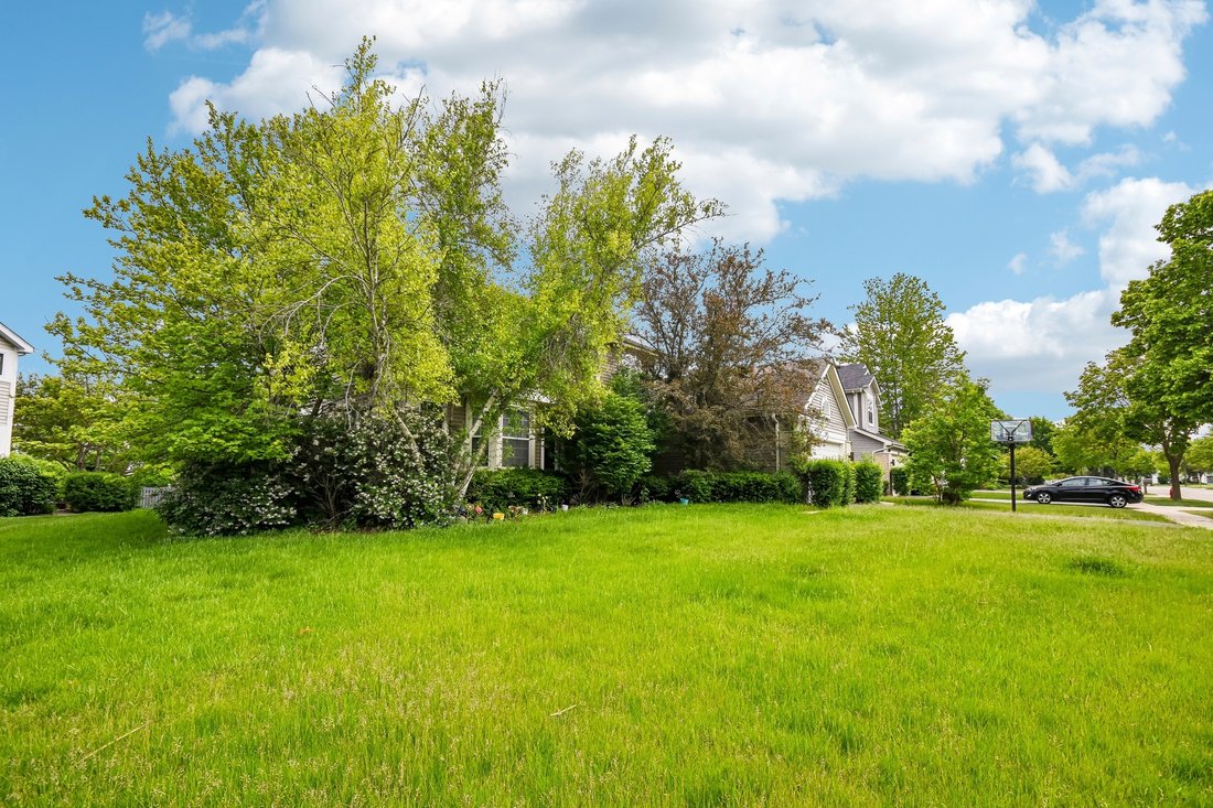 House in Buffalo Grove, Illinois, United States 2 - 18038132
