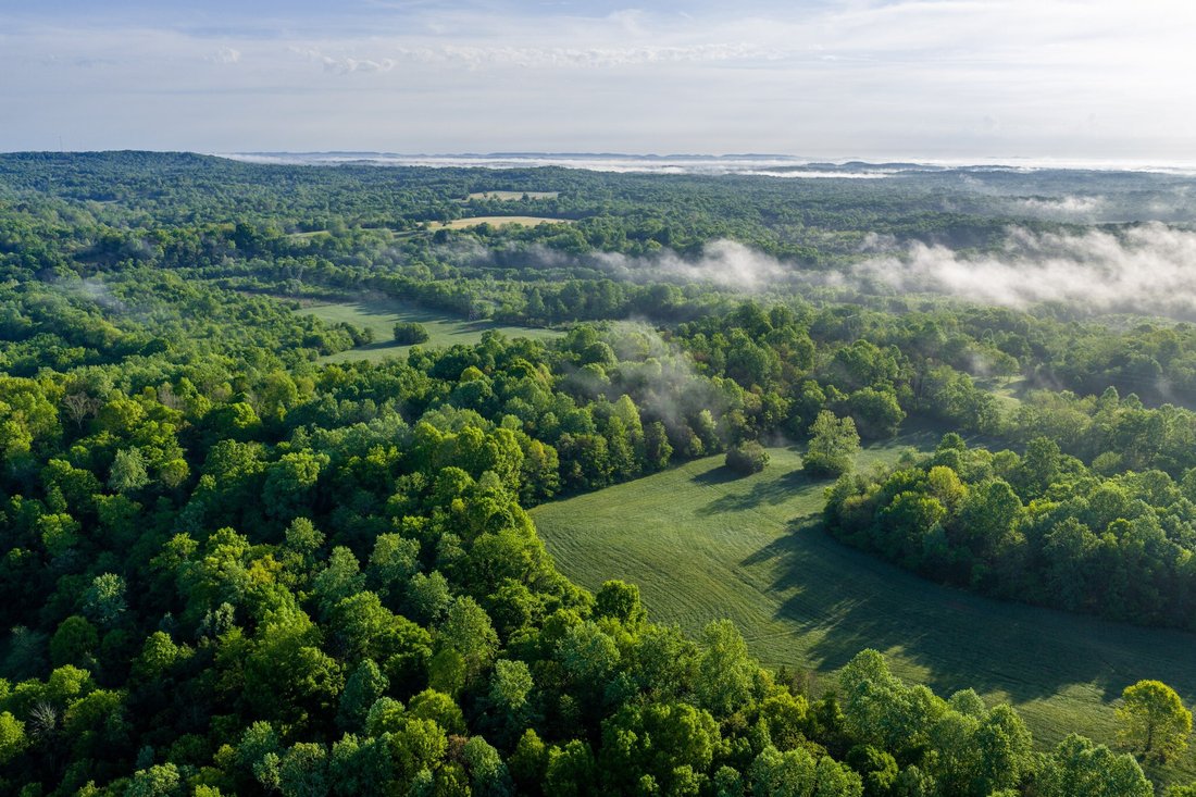 House in Columbia, Tennessee, United States 3 - 18036467