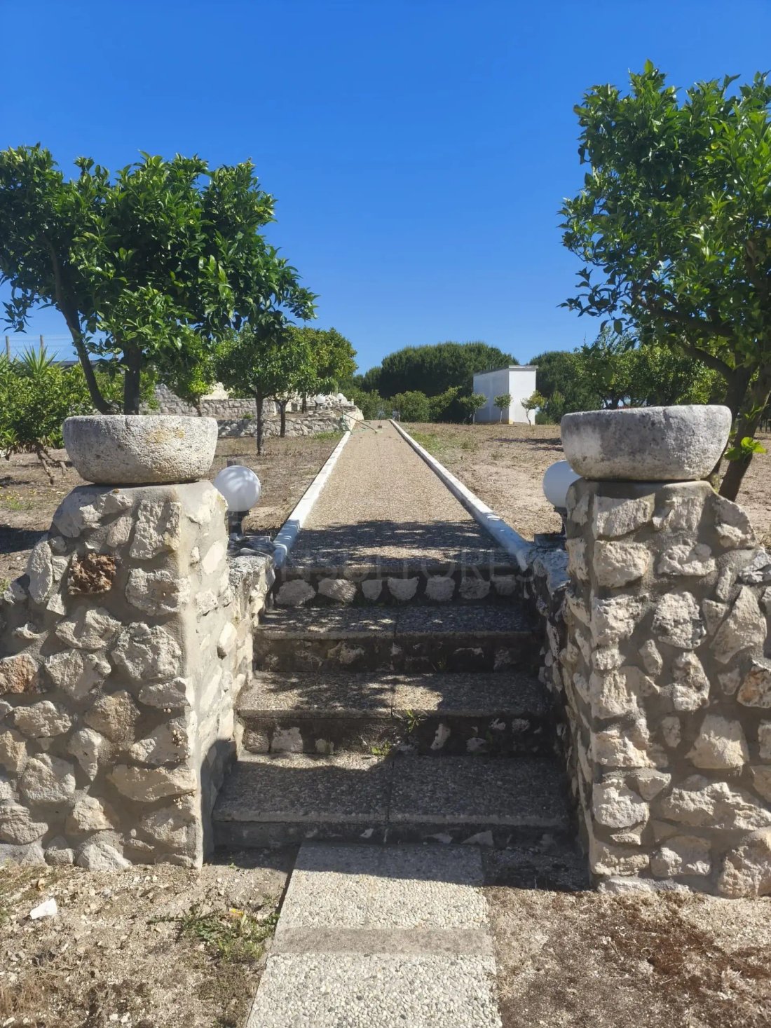 Villa in Branca, Santarem District, Portugal 2 - 18038397