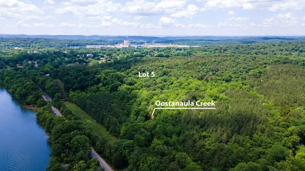 Land in Riceville, Tennessee, United States 2 - 12025965