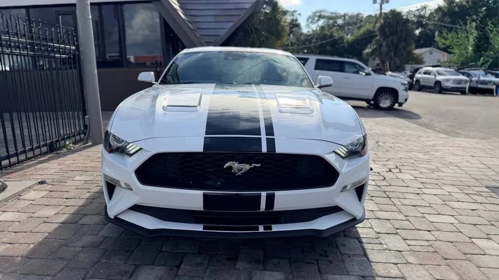 Coupe in Tampa, FL, United States 5 - 17924418