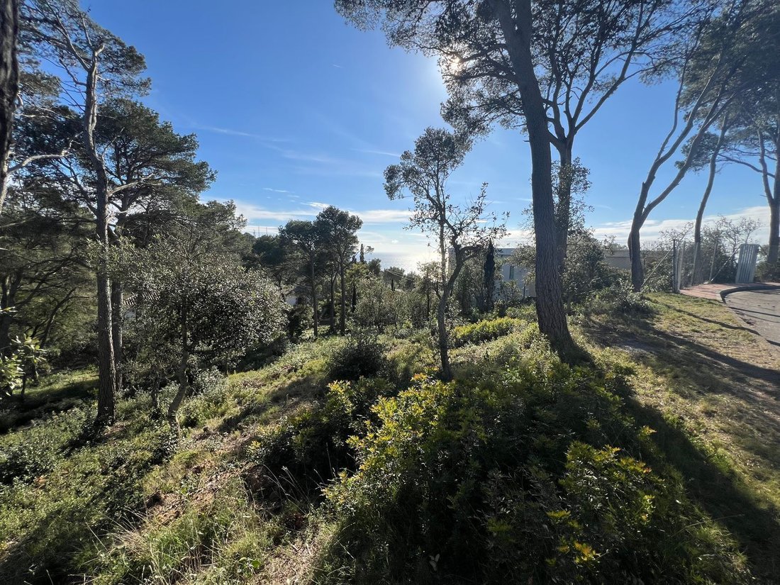Llafranc, Palafrugell, Catalonia 5 - 18047003