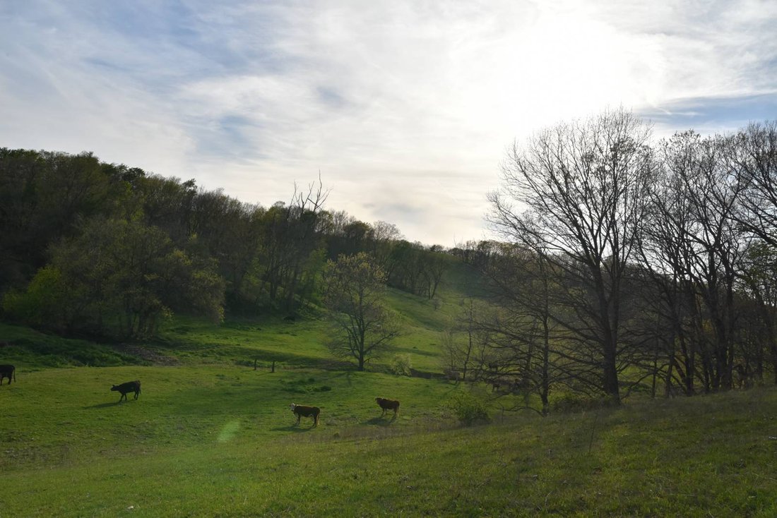 Land in Jay, Oklahoma, United States 3 - 18040172