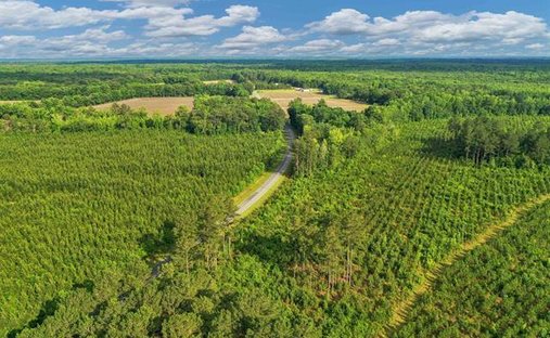 Land in Foreston, South Carolina, United States 1