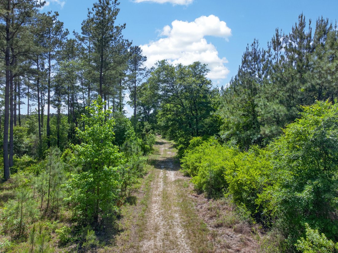 Land in Foreston, South Carolina, United States 5 - 18045415