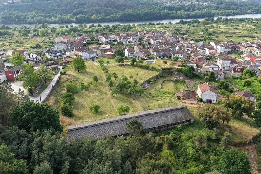 Land in Ribadavia, Galicia, Spain 5 - 18047277