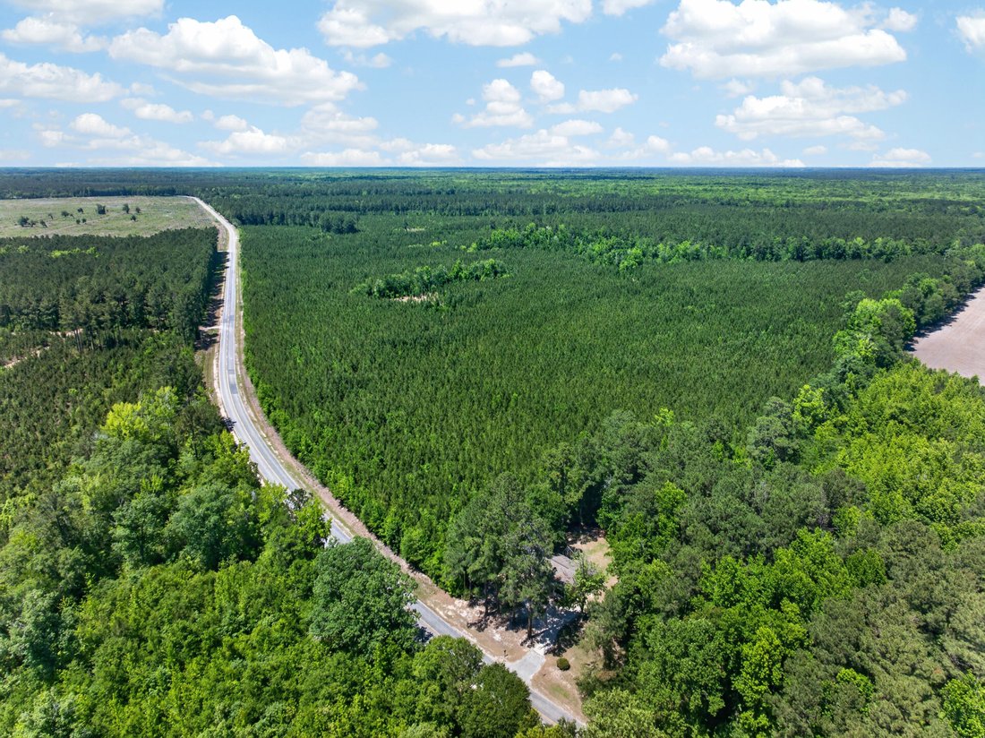 Land in Foreston, South Carolina, United States 2 - 18045415