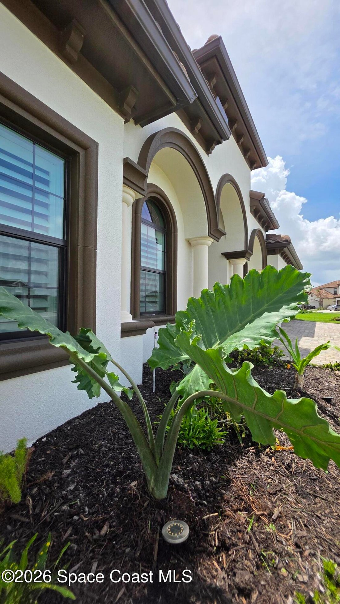 House in Melbourne, Florida, United States 3 - 18040257