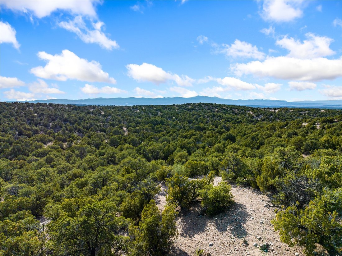 Terreno a Santa Fe, Nuovo Messico, Stati Uniti 5 - 18045083