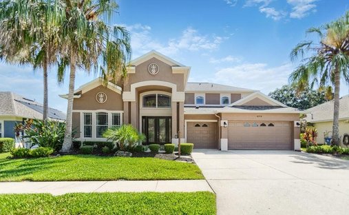 House in Land O' Lakes, Florida, United States 1