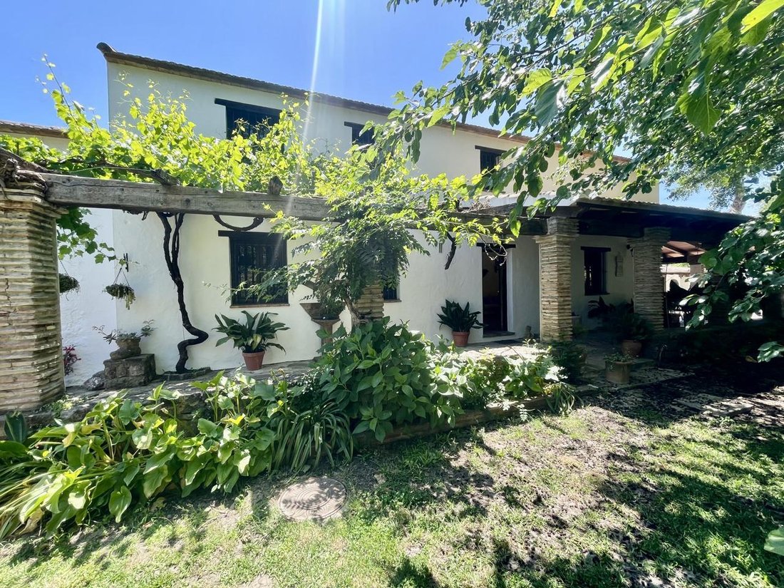 Farm Ranch in Jimena de la Frontera, Andalusia, Spain 1 - 18044103