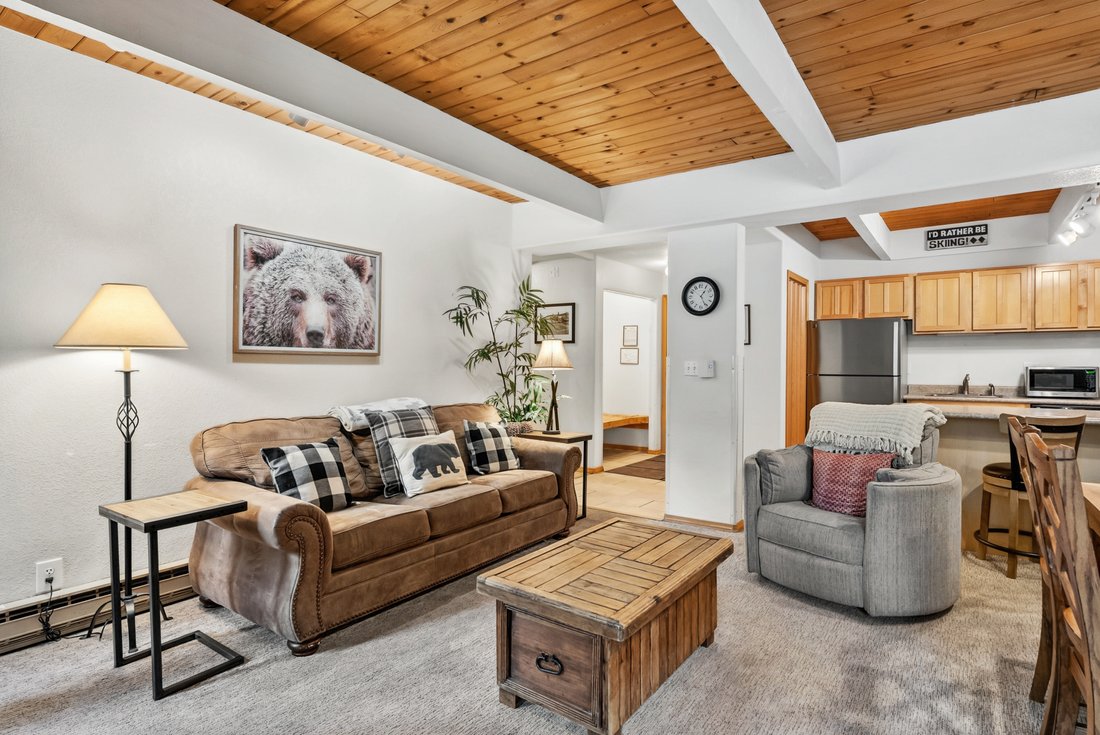 Condo in Breckenridge, Colorado, United States 4 - 18035629