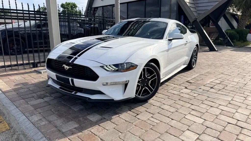 Coupe in Tampa, FL, United States 1 - 17924418