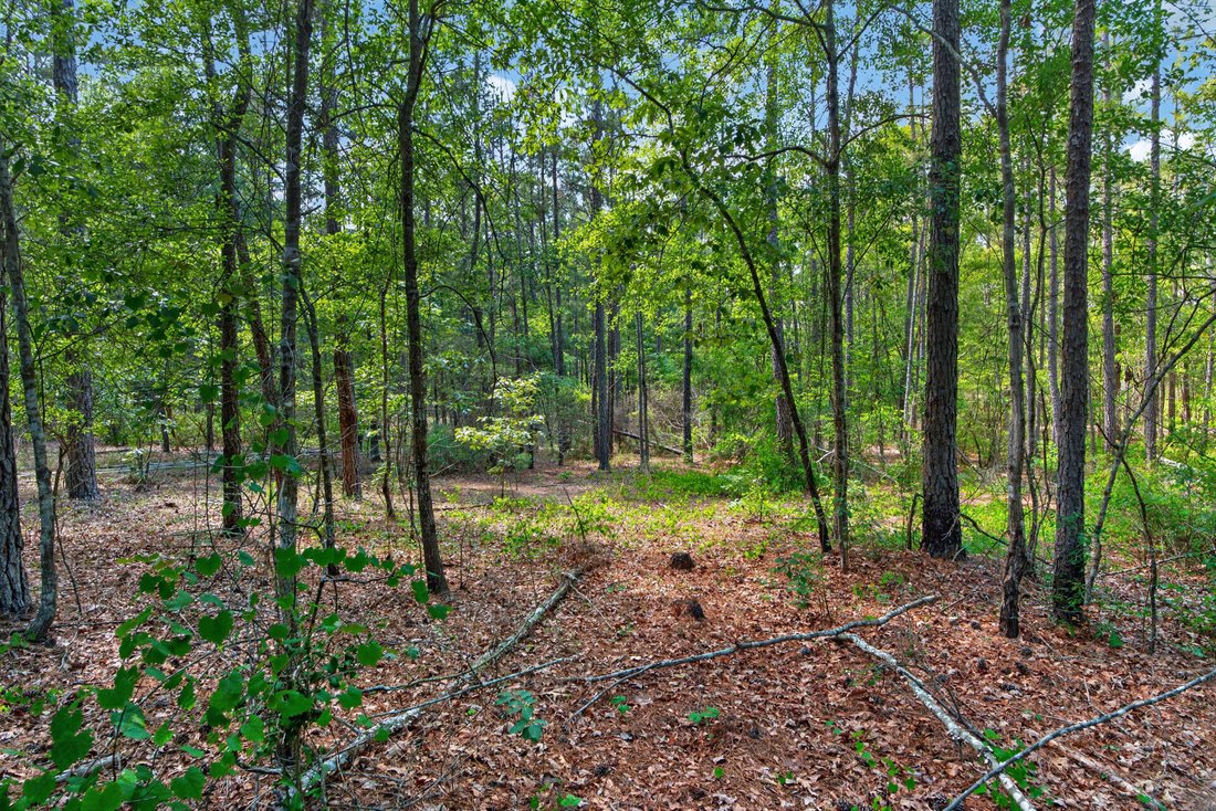 Land in Foreston, South Carolina, United States 3 - 18045415