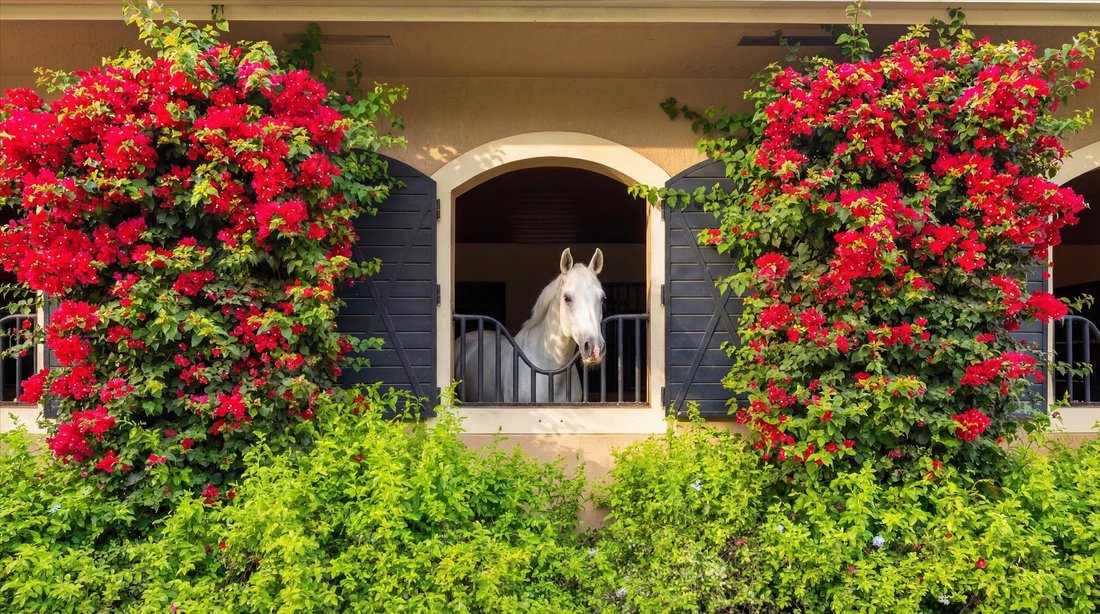 House in Wellington, Florida, United States 3 - 17301016