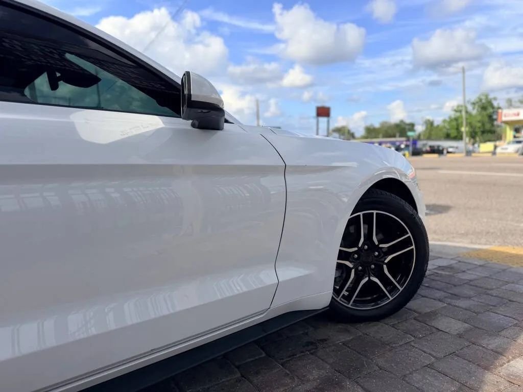 Coupe in Tampa, FL, United States 2 - 17924418