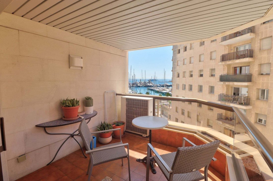 Appartement à Palma, Îles Baléares, Espagne 2 - 18036112
