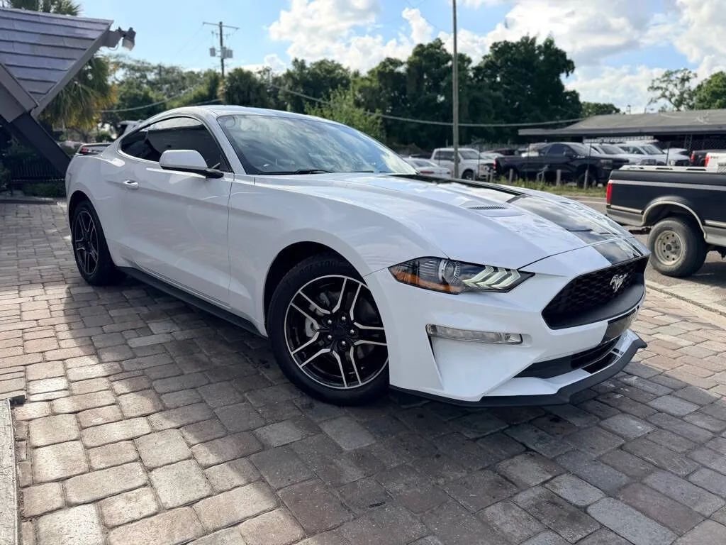 Coupe in Tampa, FL, United States 3 - 17924418