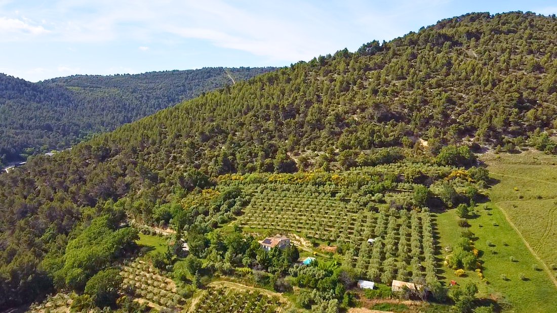 Castle in Manosque, Provence-Alpes-Côte d'Azur, France 2 - 18048641