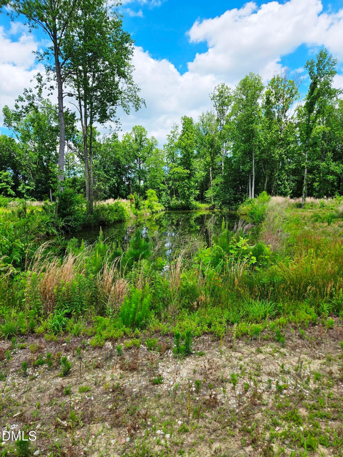 Land in Lillington, North Carolina, United States 3 - 17244325
