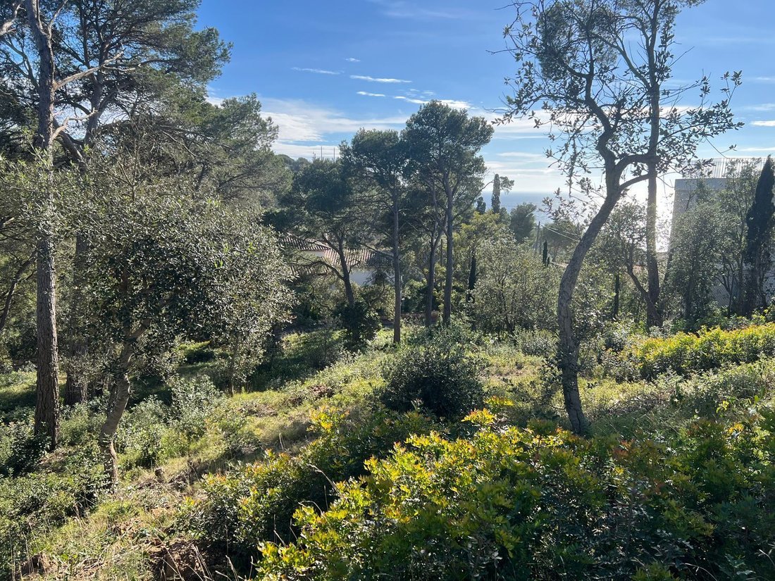 Llafranc, Palafrugell, Catalonia 2 - 18047003