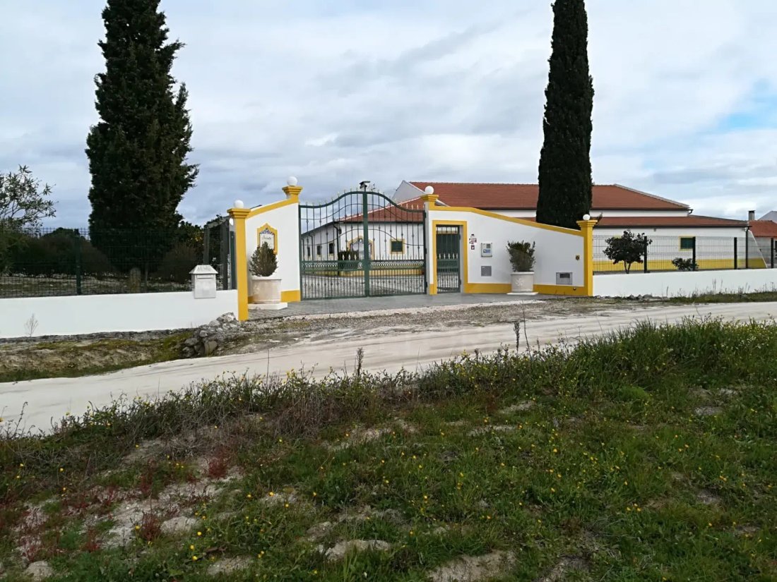 Villa in Branca, Santarem District, Portugal 3 - 18038397