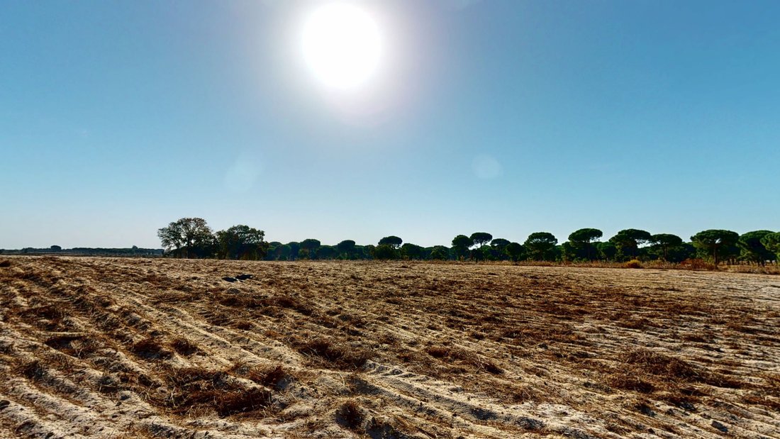 Land in Pegoes, Setubal, Portugal 1 - 17372281