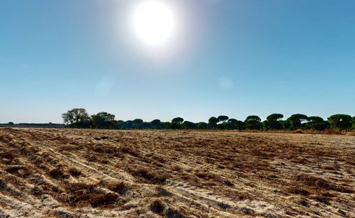 Land in Pegoes, Setubal, Portugal 1