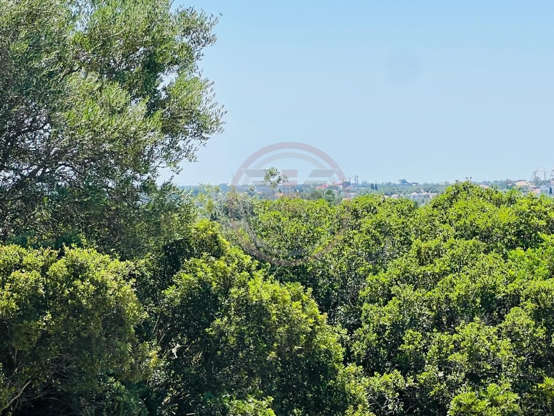 Land in Almancil, Algarve, Portugal 1 - 18043963