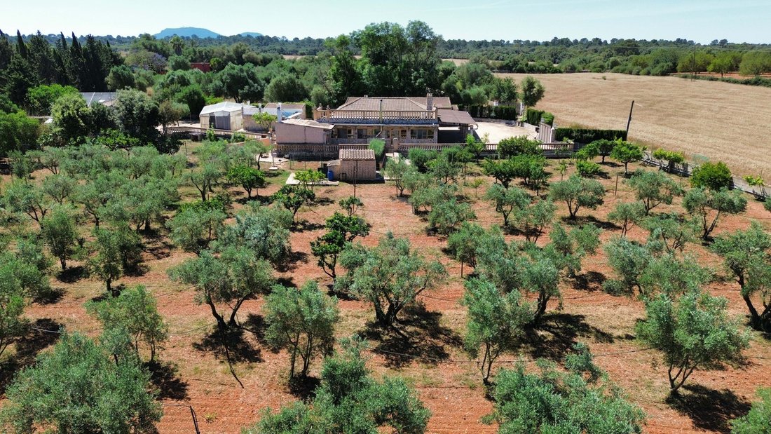 Santa Eugenia, Balearic Islands, Spain 5 - 18046163