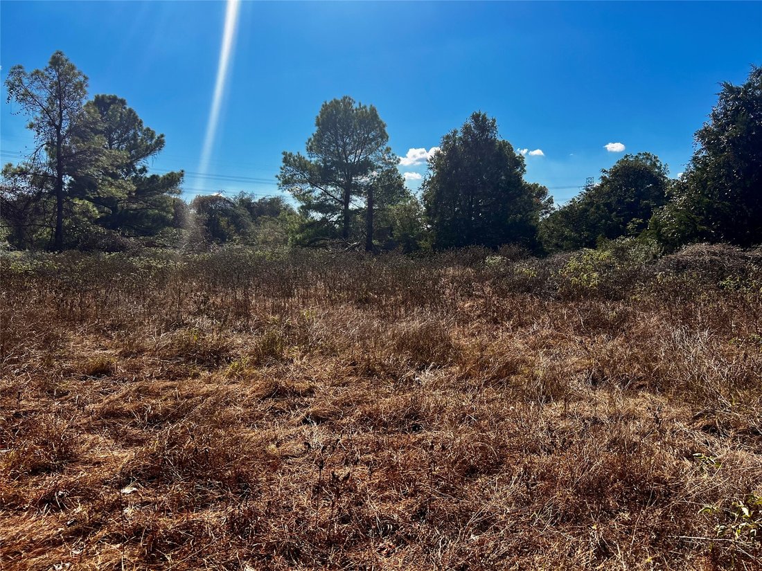 Rancho en Bastrop, Texas, Estados Unidos 4 - 16554376